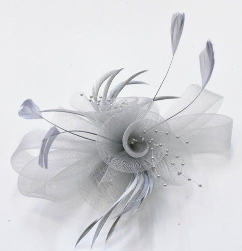 Butterfly black feather - butterfly,