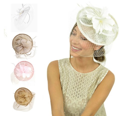 Women large veil feather - veil,