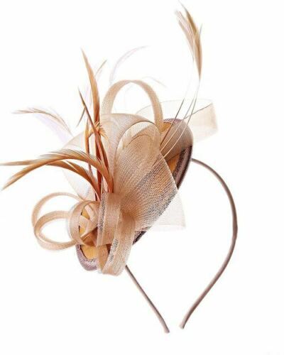 Feather flower sinamy - flower,