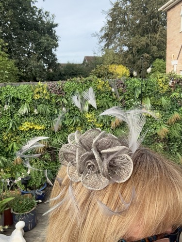 Grey silver feather - grey,