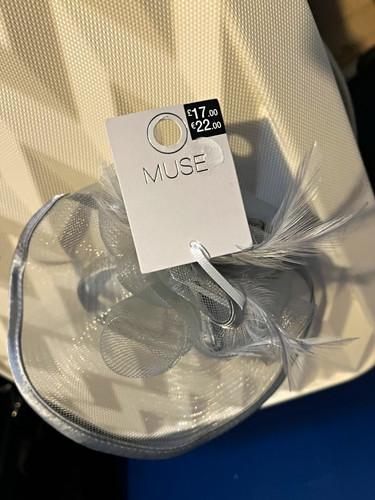 Muse silver mesh - mesh, bow