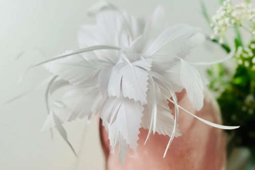 Elegant flower feather - elegant,